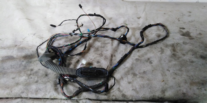 фото №1, Bmw x5 e70 жгут ele. дверь левый зад eur 07r