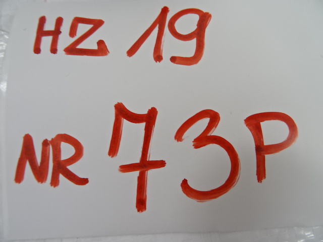 фото №10, Peugeot boxer iii заглушка захист лампи 47100509