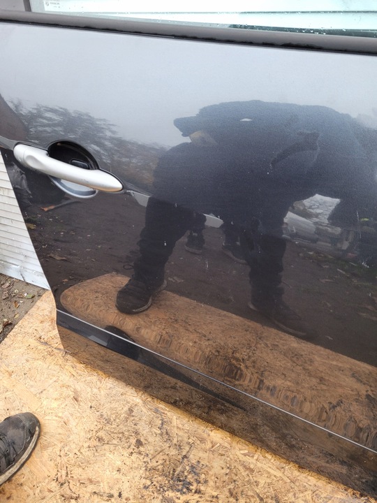 фото №15, Двері передні перед праві renault scenic iii 3