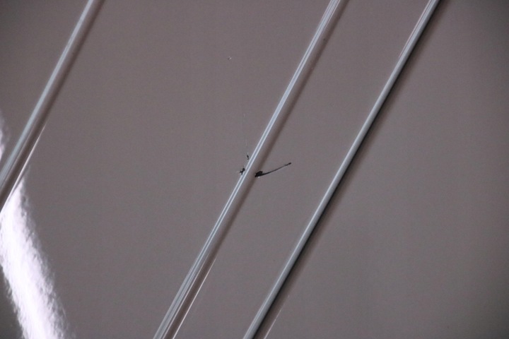 фото №9, Bmw ix i20 lci бампер переднее перед м-пакет pdc жгут комплектный c7a usa