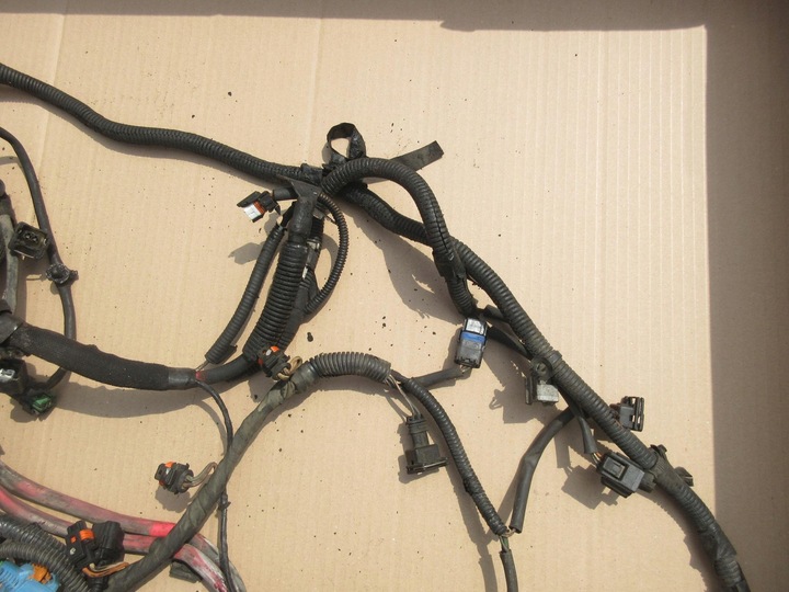 фото №6, Renault grand scenic iii 1.9 dci 130 km f9q870 джгут двигуна