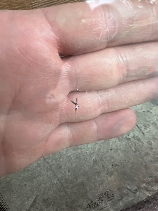 фото №12, Стекло перед передняя лобовое lane ассистент акустический audi a8 d3 рестайлинг