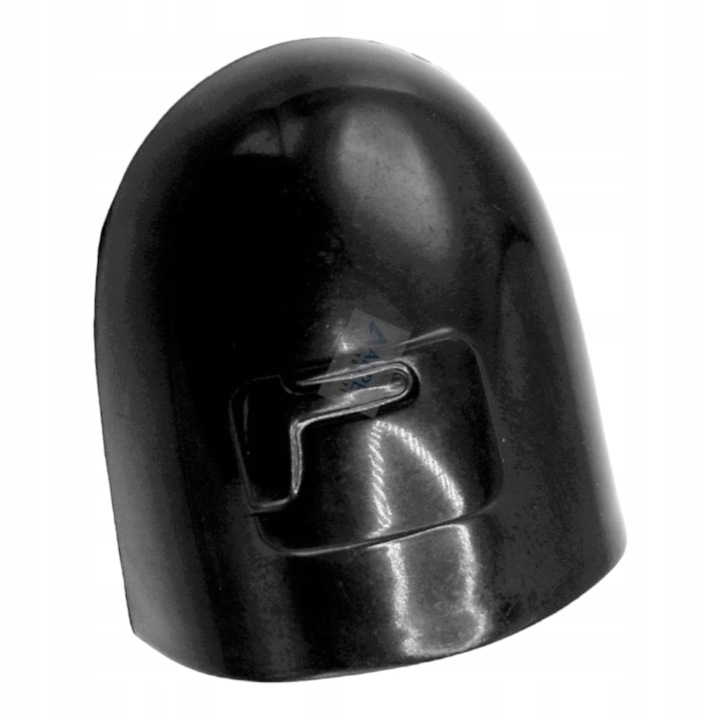 фото №1, Заглушка ручка замка espace laguna megane scenic