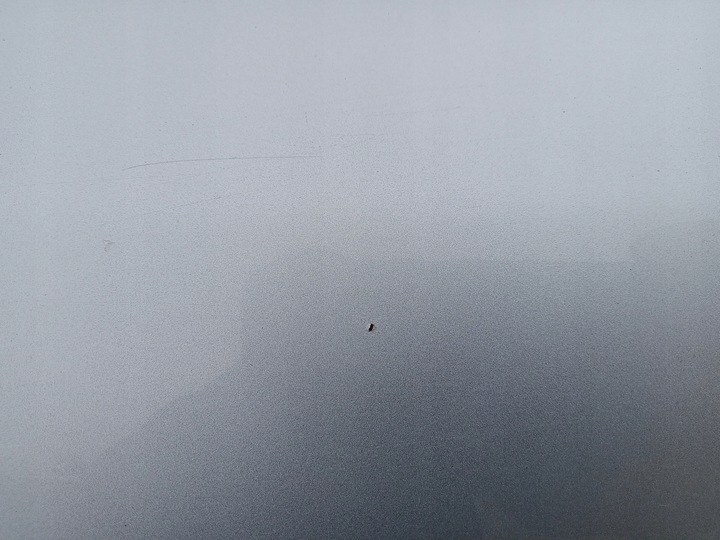 фото №15, Двері праві задні audi q5 8r сріблястий lx7w