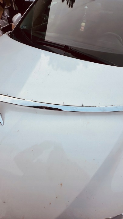 фото №5, Lexus ct 200h молдинг решітка 53121-76030