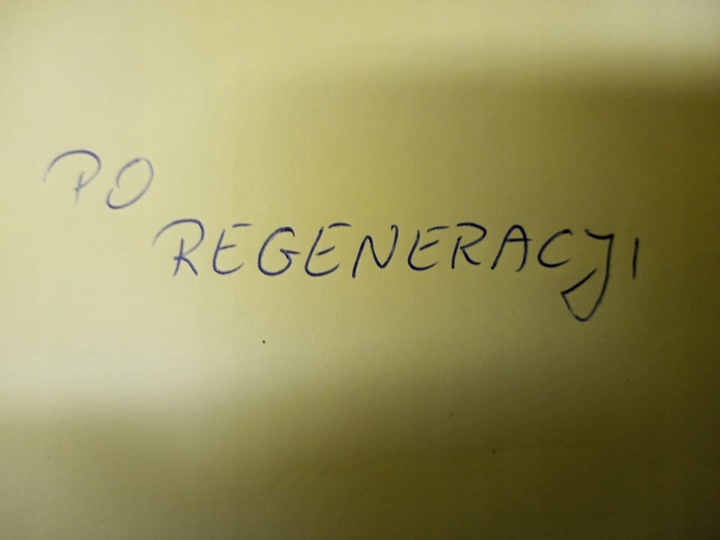 фото №7, Суппорт тормозной левый перед skoda octavia ii