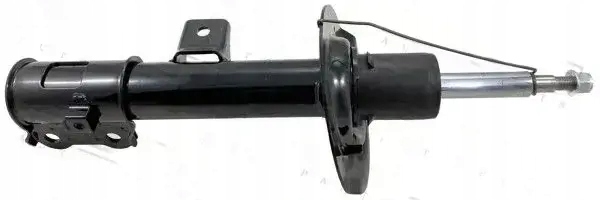 фото №1, Амортизатор правий перед газовий 12660597fr febest