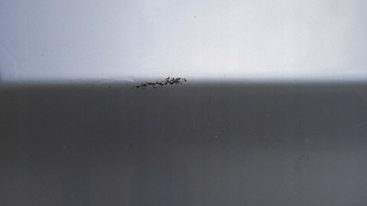 фото №9, Bmw e91 e90 дверь перед правые 354/7