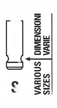 FRECCIA R6556/RNT SOUPAPE ÉCHAPPEMENT r6556