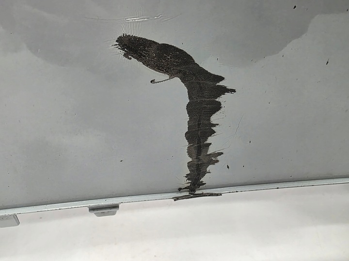 фото №8, Бампер перед переднє seat leon iii рестайлінг cupra 5f0807221ab