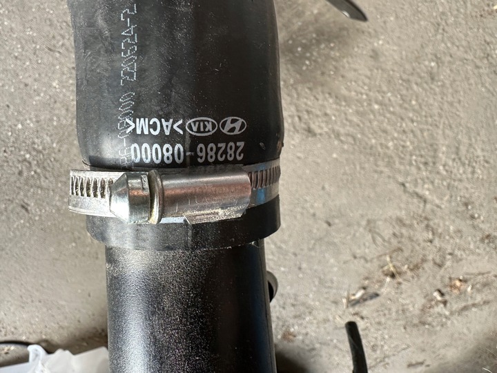 фото №5, Kia pro ceed дроти шланги турбіни