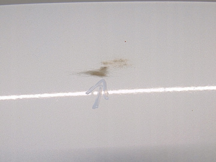 фото №10, Кришка кришка багажника зад задня скло audi q3 8u 11- lx7w