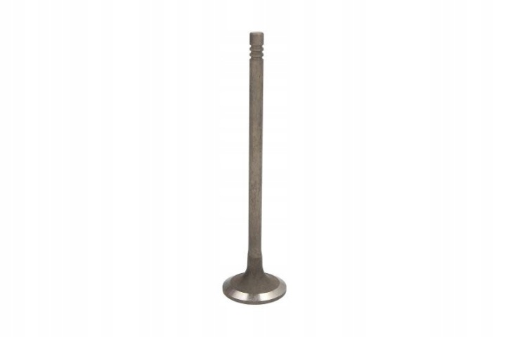 SOUPAPE ÉCHAPPEMENT FRECCIA R6917/RNT f7c3d4