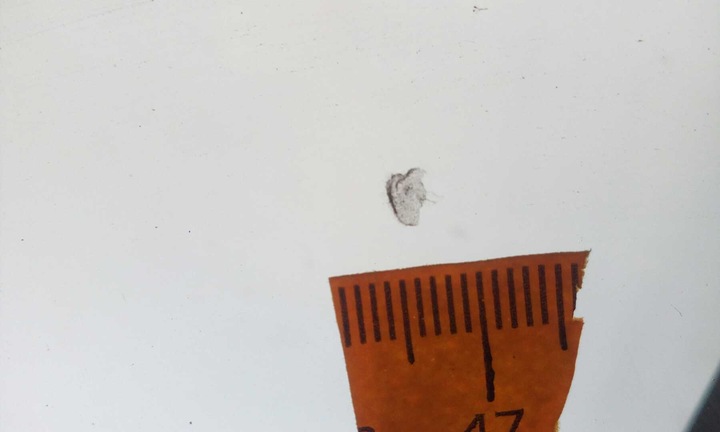 фото №4, Стекло лобовое seat altea freetrack 2007- оригинал