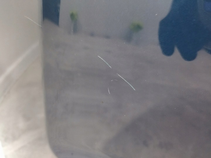 фото №12, 760010026c капот крышка двигателя цвет lp5m vw touareg iii 2018+