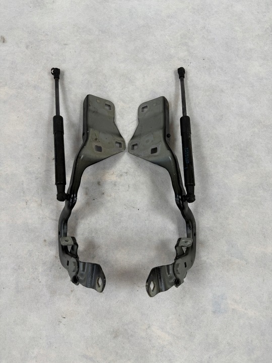 фото №1, Петли петля правые левый капота renault scenic iv tegne комплект