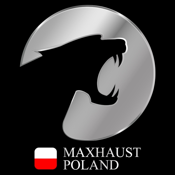 фото №8, Активный выхлоп maxhaust - lexus каждый модель