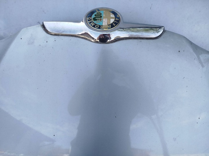 фото №7, Капот alfa romeo gt 694met