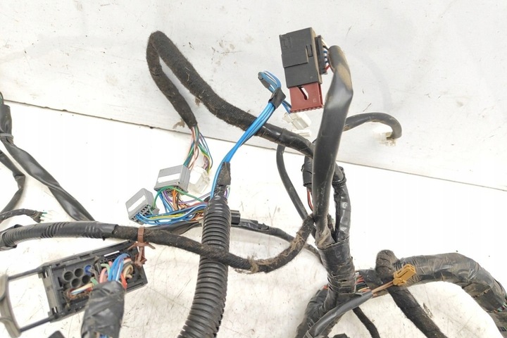 фото №9, Джгут установки інтер'єру nissan almera tino v10 24010bu818 2.2l дизель