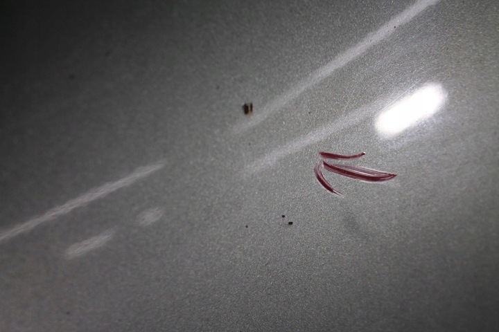 фото №7, Капот кришка двигуна vw passat b6 05-10