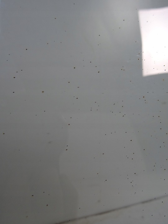 фото №12, Nissan juke рестайлинг f15 стекло лобовое передняя