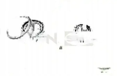 фото №1, Підшипник колеса зад r140.96 snr citroen fiat ducato