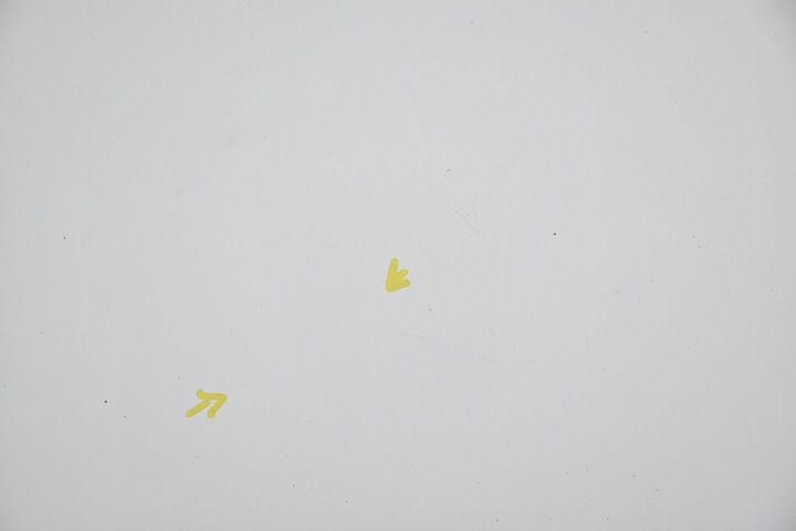 фото №6, Капот кришка двигуна mercedes r w251 c775