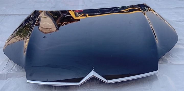 фото №6, Капот citroen c5 iii x7 08-17 ktvd