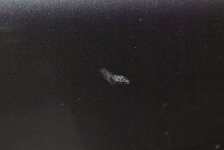 фото №6, Капот крышка двигателя серый jeep grand cherokee 3 iii wk 05-10