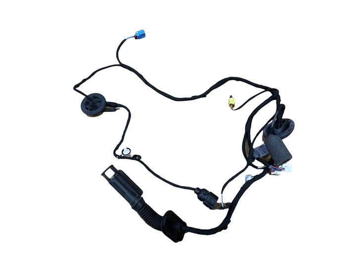 фото №1, Audi q5 80a установка двері ліва перед камера