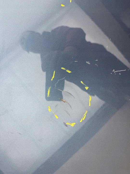 фото №9, Vw passat b8 14r- капот крышка двигателя перед передняя