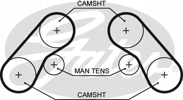 фото №1, Gates 5576xs лента распределительный вал
