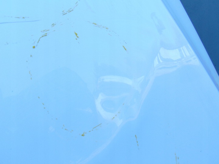 фото №8, Капот крышка двигателя audi q5 8r ly9c