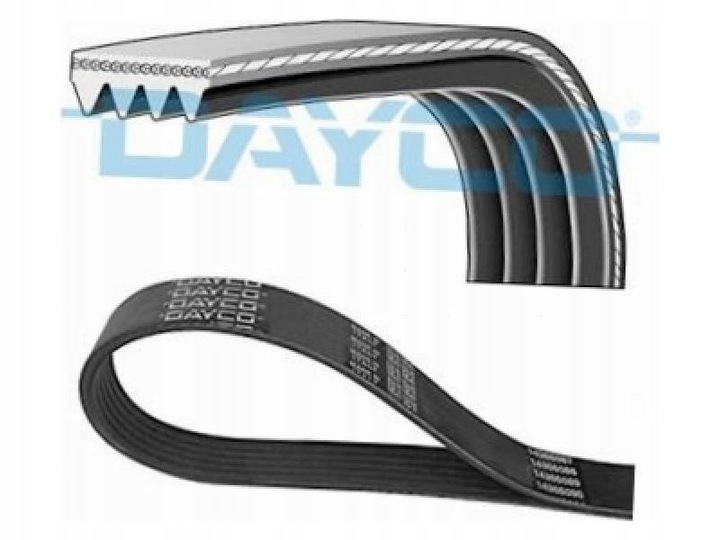 фото №2, Лента wielorowkowy honda shuttle 2.2 2.3 94-04