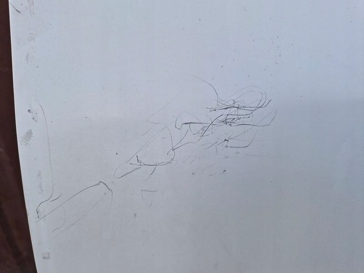 фото №8, Fiat doblo ii 2 maxi двері лівий перед ліві передні