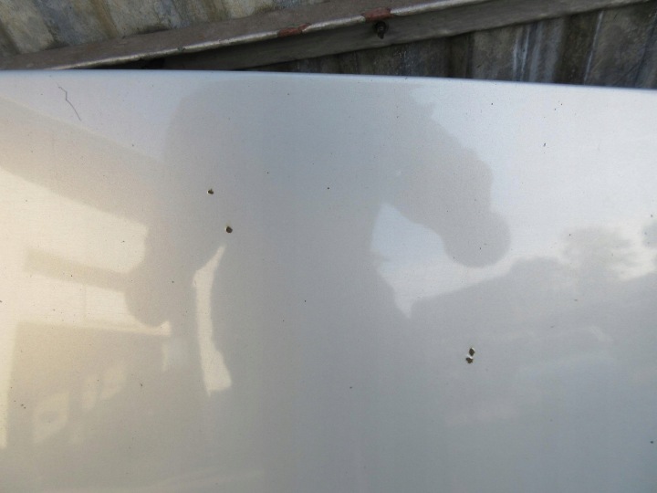 фото №6, Renault scenic ii капот mv632