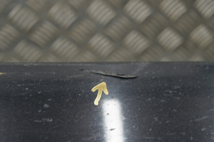 фото №13, Touareg iii lc9x 2018r. дверь левая передние левый перед