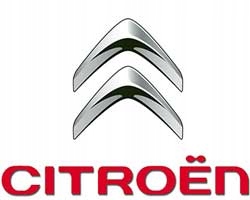 фото №8, Амортизатори пружини перед citroen c-crosser + вісь