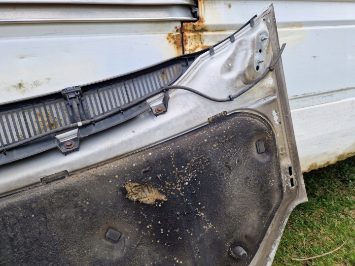 фото №15, Капот кришка двигуна ford c-max i mk1 рестайлінг o3