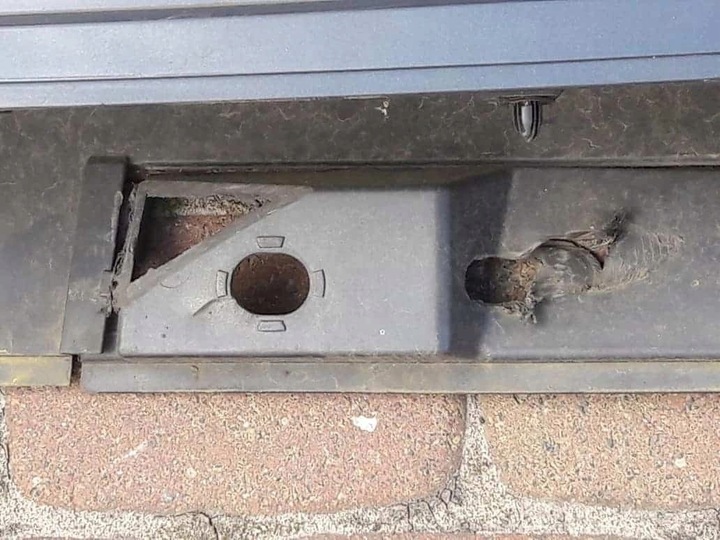 фото №9, Avensis iii t27 права планка порогова поріг 08-15