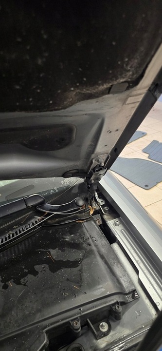 фото №13, Петля капота audi a4 b7 2004-2008 європа колір 8e0823302e 8e0823301e