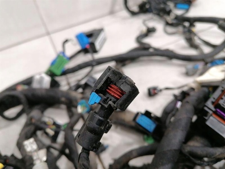 фото №7, Ferrari roma f169 проводка loom rhd основний harness