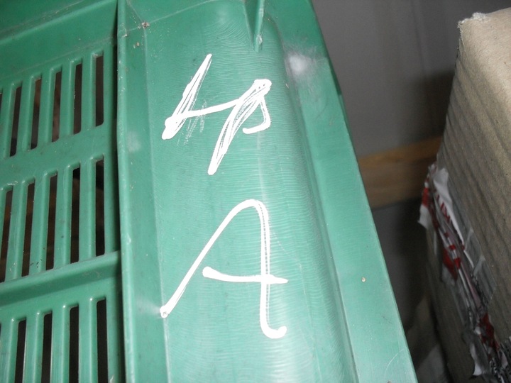 фото №5, Subaru forester ii sg legacy лямбда-зонд 2.0 16v