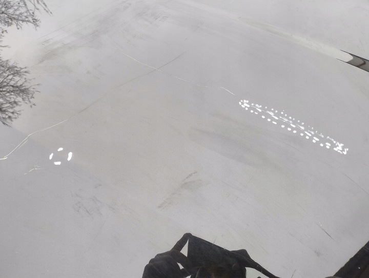 фото №8, Bmw 5 g60 g61 капот кришка двигуна pas перед оригінал