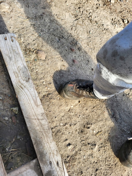 фото №11, Ролета жалюзі citroen c4 grand picasso ii рестайлінг 16- 9818994380