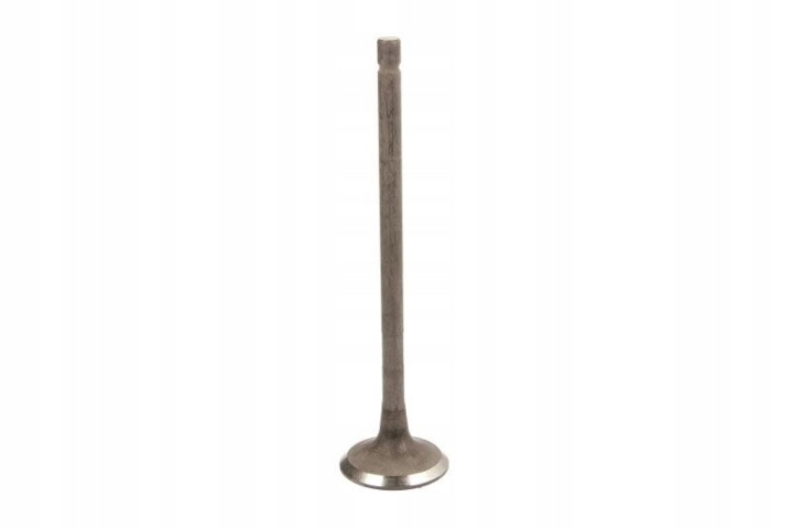SOUPAPE ÉCHAPPEMENT FRECCIA R6561/RNT c5d855
