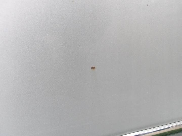 фото №7, Passat b6 універсал двері передні i задні праві la7w