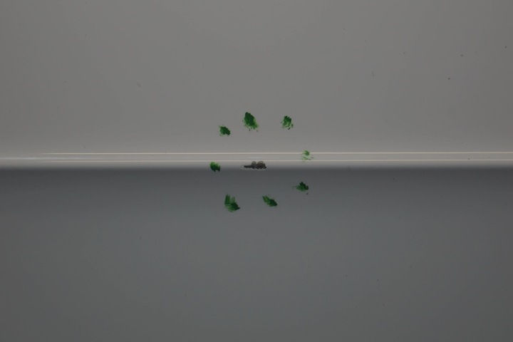 фото №13, Audi a3 8v sportback дверь левый перед ly9c d1528