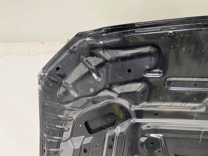 фото №13, Капот кришка двигуна ford mustang 6 vi mk6 2015-2019
