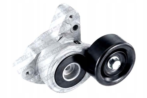 фото №10, Натяжитель ремень snr ga374.36 31170pna013